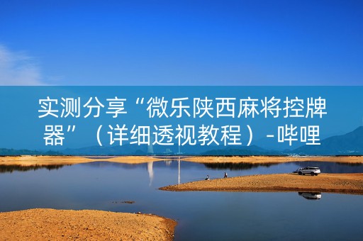 实测分享“微乐陕西麻将控牌器”（详细透视教程）-哔哩哔哩