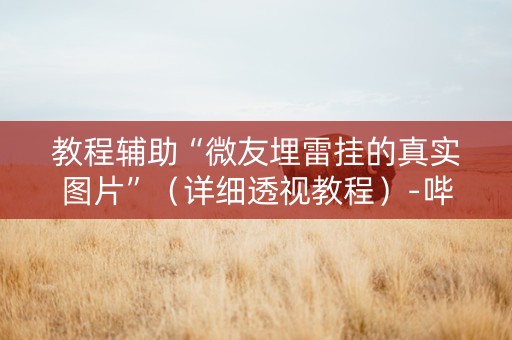 教程辅助“微友埋雷挂的真实图片”（详细透视教程）-哔哩哔哩