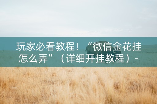 玩家必看教程！“微信金花挂怎么弄”（详细开挂教程）-哔哩哔哩