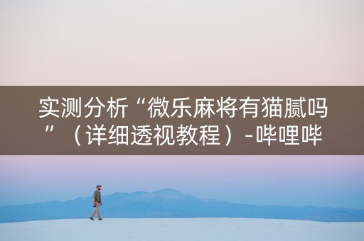 实测分析“微乐麻将有猫腻吗”（详细透视教程）-哔哩哔哩