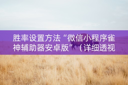 胜率设置方法“微信小程序雀神辅助器安卓版”（详细透视教程）-哔哩哔哩