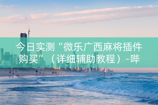 今日实测“微乐广西麻将插件购买”（详细辅助教程）-哔哩哔哩