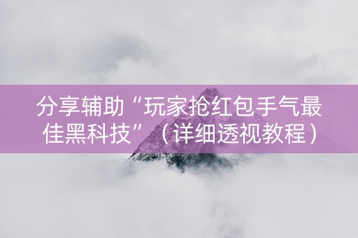 分享辅助“玩家抢红包手气最佳黑科技”（详细透视教程）-哔哩哔哩