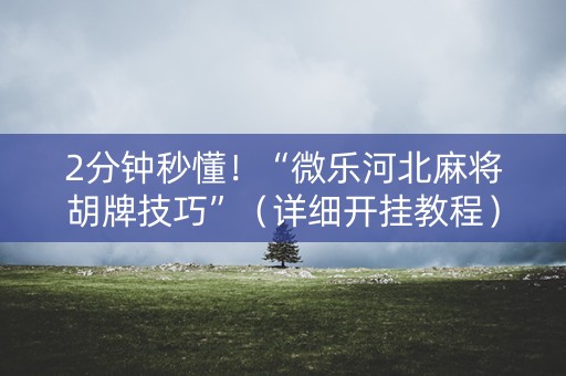 2分钟秒懂！“微乐河北麻将胡牌技巧”（详细开挂教程）-哔哩哔哩