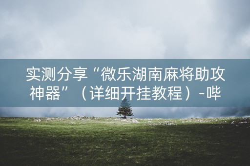 实测分享“微乐湖南麻将助攻神器”（详细开挂教程）-哔哩哔哩