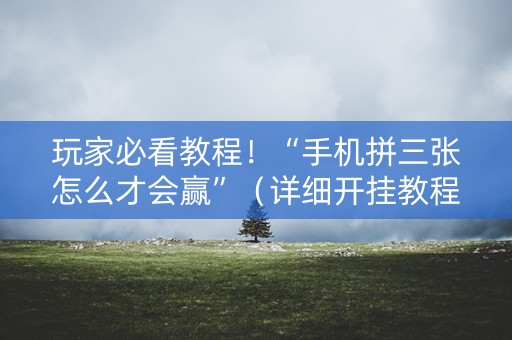 玩家必看教程！“手机拼三张怎么才会赢”（详细开挂教程）-哔哩哔哩