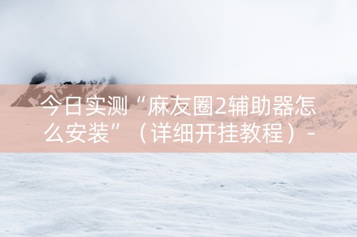 今日实测“麻友圈2辅助器怎么安装”（详细开挂教程）-哔哩哔哩