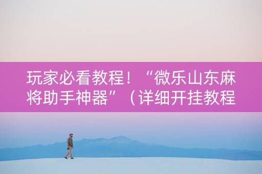 玩家必看教程！“微乐山东麻将助手神器”（详细开挂教程）-哔哩哔哩