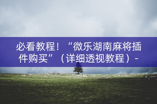 必看教程！“微乐湖南麻将插件购买”（详细透视教程）-哔哩哔哩