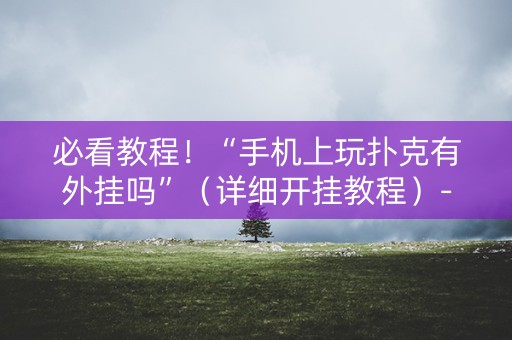 必看教程！“手机上玩扑克有外挂吗”（详细开挂教程）-哔哩哔哩