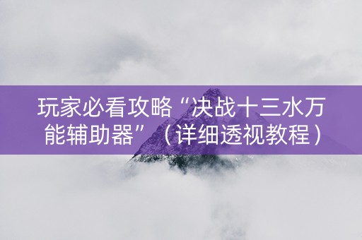 玩家必看攻略“决战十三水万能辅助器”（详细透视教程）-哔哩哔哩