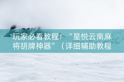 玩家必看教程！“星悦云南麻将胡牌神器”（详细辅助教程）-哔哩哔哩