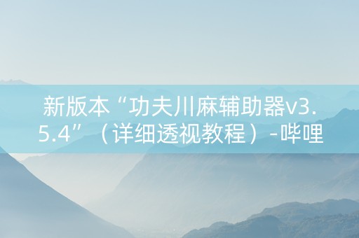 新版本“功夫川麻辅助器v3.5.4”（详细透视教程）-哔哩哔哩