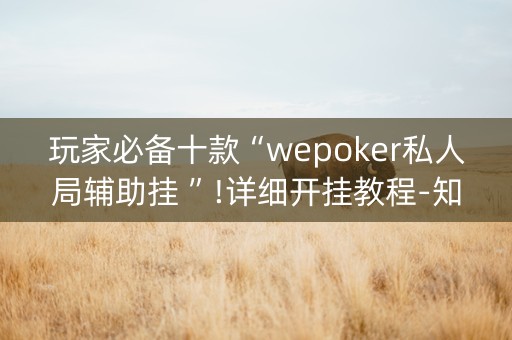 玩家必备十款“wepoker私人局辅助挂 ”!详细开挂教程-知乎