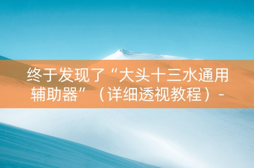 终于发现了“大头十三水通用辅助器”（详细透视教程）-哔哩哔哩
