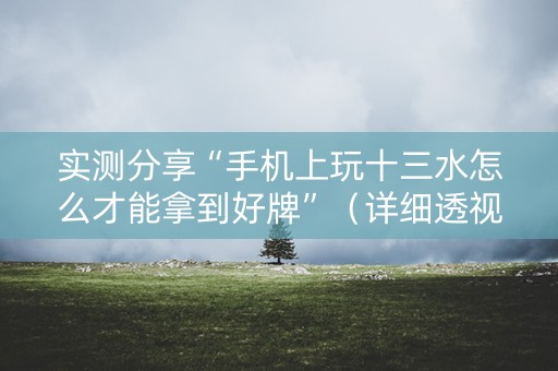 实测分享“手机上玩十三水怎么才能拿到好牌”（详细透视教程）-哔哩哔哩