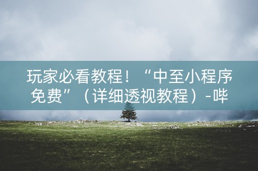 玩家必看教程！“中至小程序免费”（详细透视教程）-哔哩哔哩
