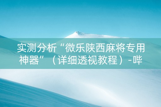实测分析“微乐陕西麻将专用神器”（详细透视教程）-哔哩哔哩