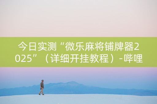 今日实测“微乐麻将铺牌器2025”（详细开挂教程）-哔哩哔哩
