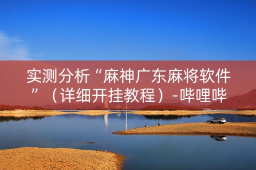 实测分析“麻神广东麻将软件”（详细开挂教程）-哔哩哔哩