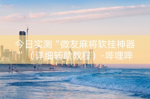 今日实测“微友麻将软挂神器”（详细辅助教程）-哔哩哔哩