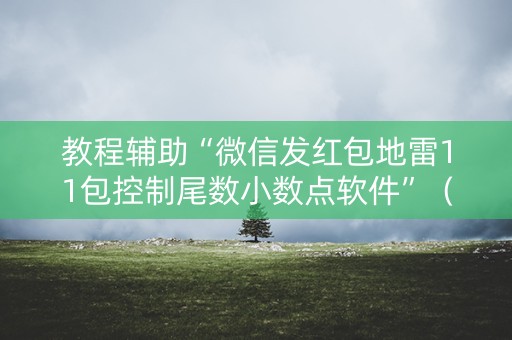 教程辅助“微信发红包地雷11包控制尾数小数点软件”（详细透视教程）-哔哩哔哩