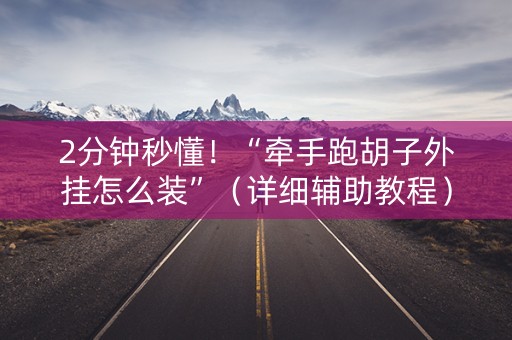 2分钟秒懂！“牵手跑胡子外挂怎么装”（详细辅助教程）-哔哩哔哩