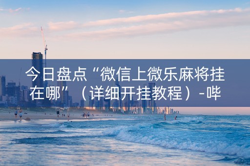 今日盘点“微信上微乐麻将挂在哪”（详细开挂教程）-哔哩哔哩