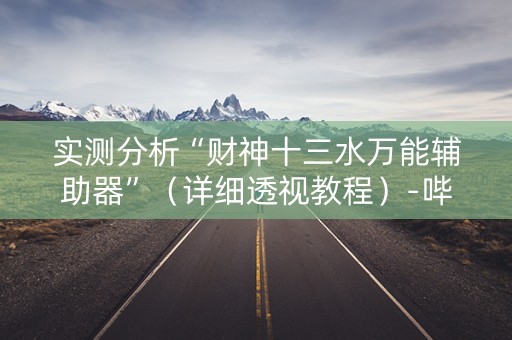 实测分析“财神十三水万能辅助器”（详细透视教程）-哔哩哔哩