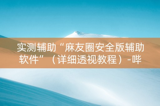 实测辅助“麻友圈安全版辅助软件”（详细透视教程）-哔哩哔哩