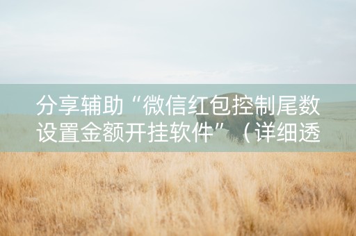 分享辅助“微信红包控制尾数设置金额开挂软件”（详细透视教程）-哔哩哔哩