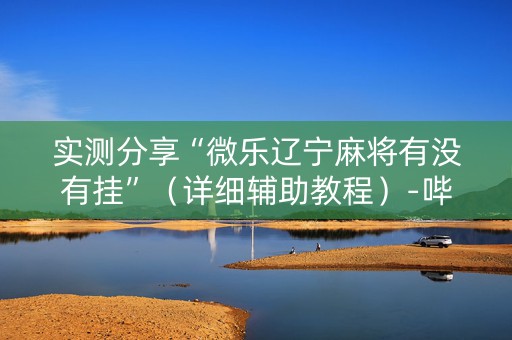 实测分享“微乐辽宁麻将有没有挂”（详细辅助教程）-哔哩哔哩