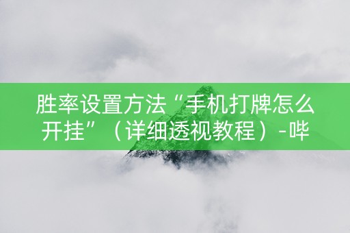 胜率设置方法“手机打牌怎么开挂”（详细透视教程）-哔哩哔哩