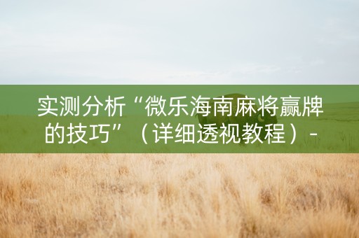 实测分析“微乐海南麻将赢牌的技巧”（详细透视教程）-哔哩哔哩