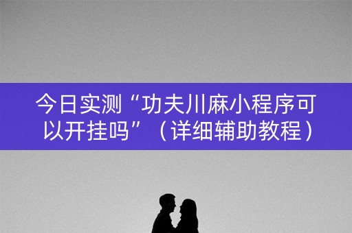 今日实测“功夫川麻小程序可以开挂吗”（详细辅助教程）-哔哩哔哩