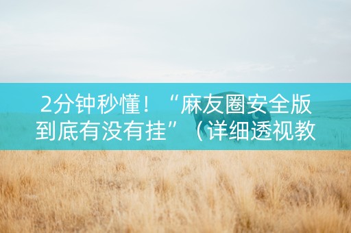2分钟秒懂！“麻友圈安全版到底有没有挂”（详细透视教程）-哔哩哔哩