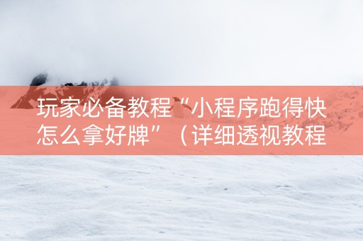 玩家必备教程“小程序跑得快怎么拿好牌”（详细透视教程）-哔哩哔哩