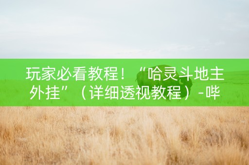 玩家必看教程！“哈灵斗地主外挂”（详细透视教程）-哔哩哔哩