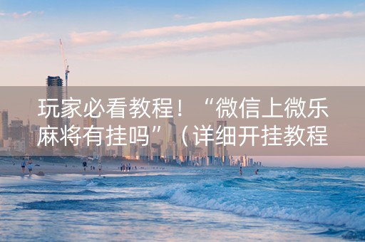 玩家必看教程！“微信上微乐麻将有挂吗”（详细开挂教程）-哔哩哔哩