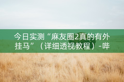 今日实测“麻友圈2真的有外挂马”（详细透视教程）-哔哩哔哩