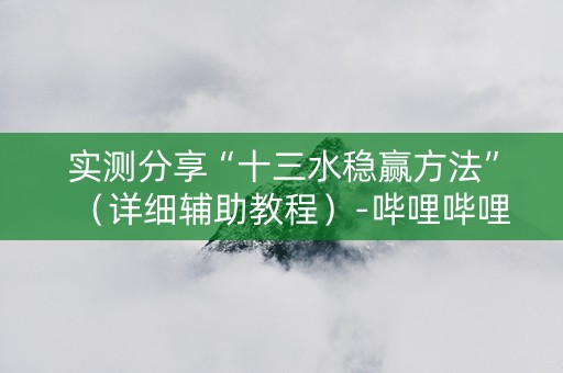 实测分享“十三水稳赢方法”（详细辅助教程）-哔哩哔哩
