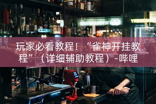 玩家必看教程！“雀神开挂教程”（详细辅助教程）-哔哩哔哩
