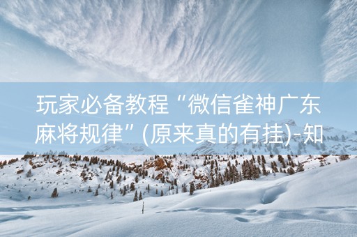 玩家必备教程“微信雀神广东麻将规律”(原来真的有挂)-知乎