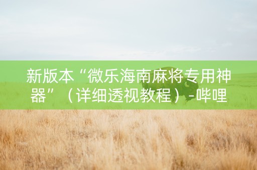 新版本“微乐海南麻将专用神器”（详细透视教程）-哔哩哔哩