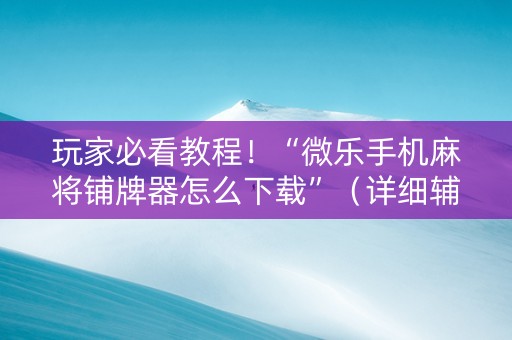 玩家必看教程！“微乐手机麻将铺牌器怎么下载”（详细辅助教程）-哔哩哔哩