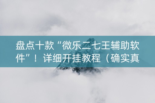 盘点十款“微乐二七王辅助软件”！详细开挂教程（确实真的有挂)-知乎