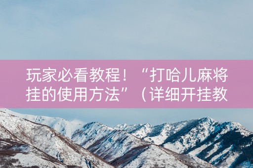 玩家必看教程！“打哈儿麻将挂的使用方法”（详细开挂教程）-哔哩哔哩