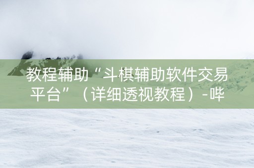 教程辅助“斗棋辅助软件交易平台”（详细透视教程）-哔哩哔哩