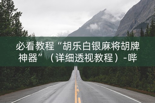 必看教程“胡乐白银麻将胡牌神器”（详细透视教程）-哔哩哔哩
