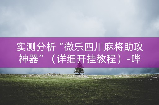 实测分析“微乐四川麻将助攻神器”（详细开挂教程）-哔哩哔哩